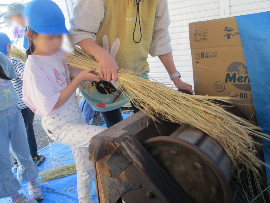 11/10 保護者ログインページを更新しました。10月は稲刈りがあり、太田地区活動センターからお借りした足踏み脱穀機で脱穀体験もしました🌾